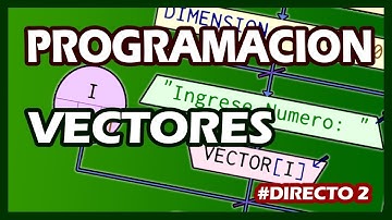 Vectores y Funciones  -  Programación 👩‍💻👨‍💻