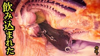 The lure I was swimming in the lake ended up in the mouth of