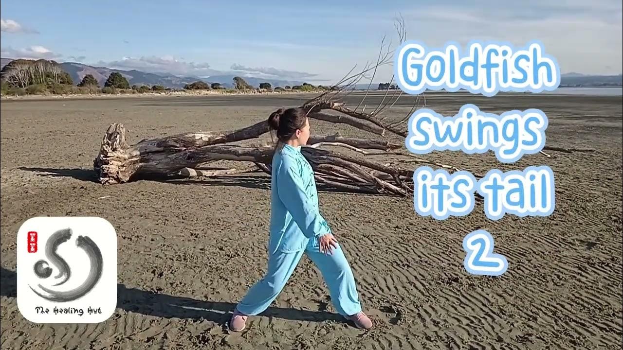 Goldfish swing its tail Tai chi fundamental practice Tai chi for
