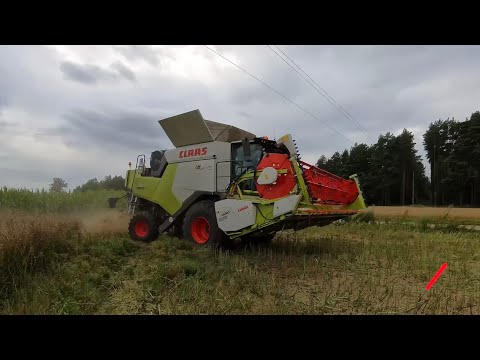 Assembly at a standstill 🚫 First rapeseed trial 🌿