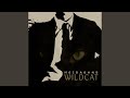 Wild Cat (Inst.)