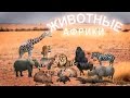 Африканские животные и их детёныши. Звуки африканских животных. Развивающее видео.