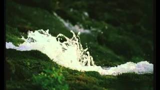 Mehemmed Huseyn Oglu Cicek Astarali 1