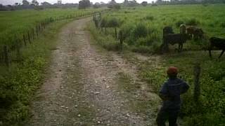 Lote Mautas Mene Grande