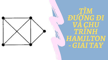 Cách Tìm Chu Trình Và Đường Đi Hamilton (GIẢI TAY)
