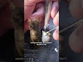 THEY FOUND HER EATING TRASH!
