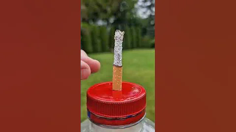 Что попадает в легкие если выкурить ПАЧКУ сигарет.