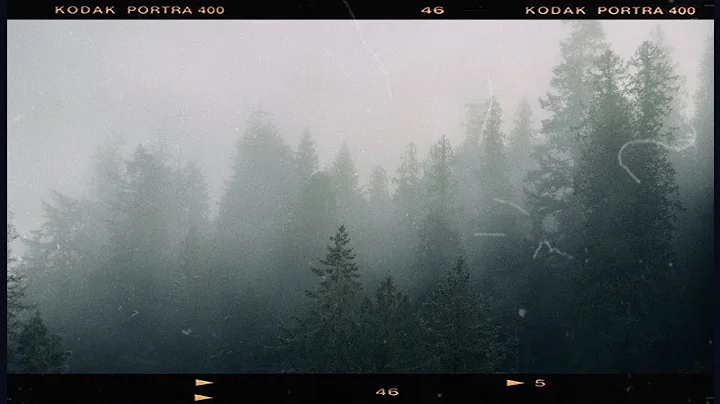 Shooting Medium Format in Strathcona Park, BC on a...