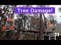 Storm Damage! Tree through shed!