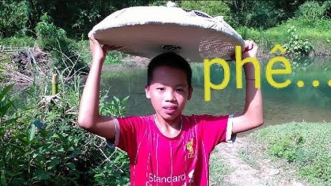 Tờ Ka Hờ |  một buổi chiều đi bẫy cá mương , siêu vui.