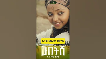 Endashaw Shume Webetish እንዳሻው ሹሜ ውበትሽ New Amharic Music Short Music Video 2025 