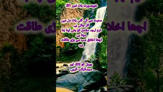 #allah #5minsdeen #islamicvideo #quotes #nature #bestquotes #islam #shorts #islamic #islamiccontent