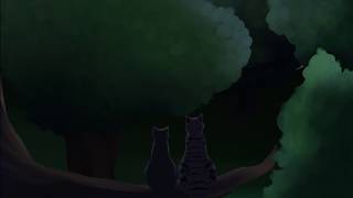 PART 9 - Begin Again 48hr PMV MAP