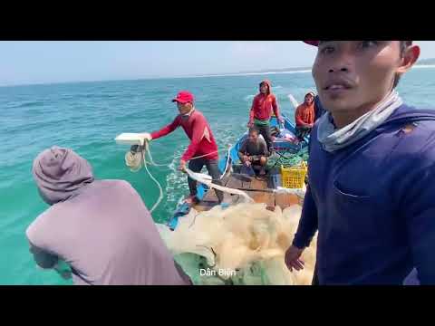 Video Nghề vây xăm cá hố và cá mờm cá cơm than - Dân Biển - youtube