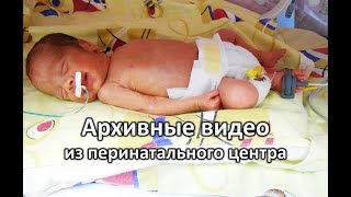 Родился с весом 1510 гр. на сроке 29 недель: видео из больницы