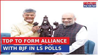 TDP Chief Chandrababu Naidu Meets Amit Shah In Andhra Pradesh Amid Alliance Buzz With BJP | Watch