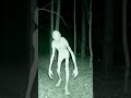 Something In The Woods Found The Trail Camera #shorts
