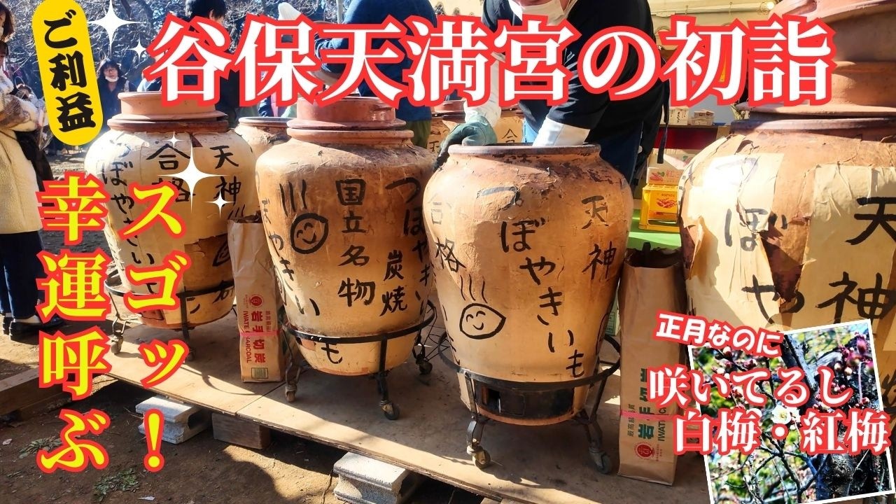 【谷保天満宮 初詣】神域は人の世より低い場所にある｜“野暮”の語源の神社｜弁天池と梅香る境内を歩く kasukabe japan