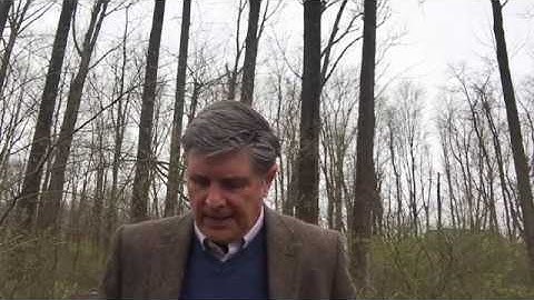 Michael Rushton on Lindblom’s “muddling through”