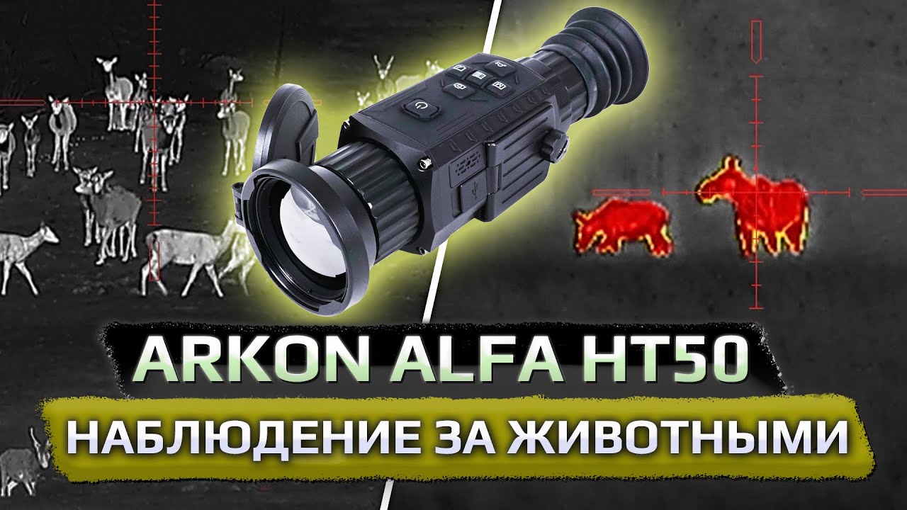 Прицел аркон альфа 35. Тепловизионный прицел Arkon Alfa ht50. Тепловизор для охоты. Охота с тепловизионным прицелом видео. Arcon Alfa ht50.