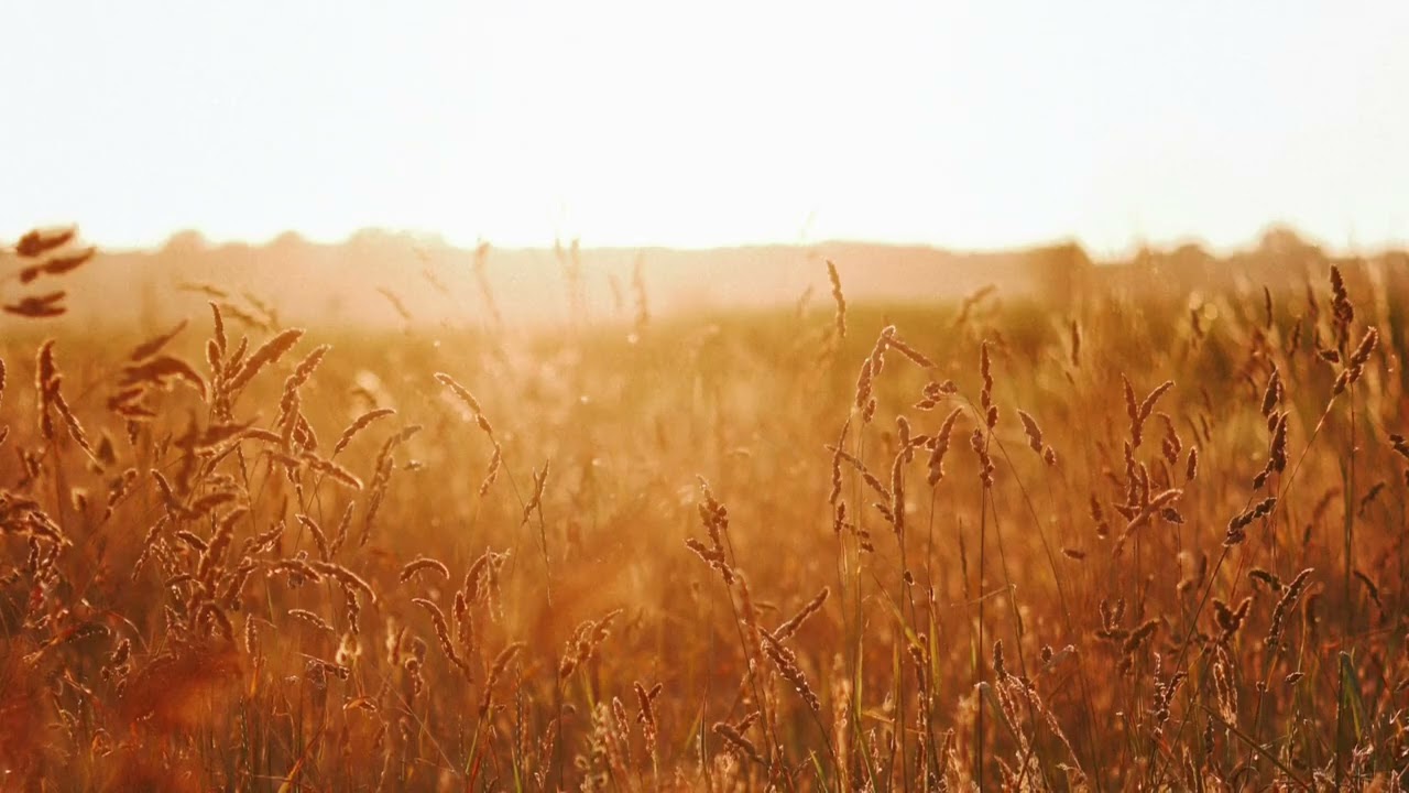 The Land of Milk and Honey