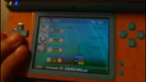 Nintendo DSi with R4i SDHC