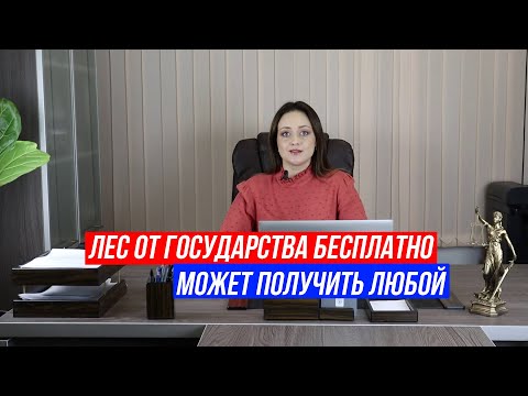 Бесплатный лес от государства на строительство! Не питайте иллюзий