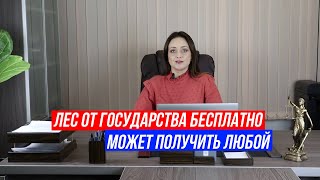 Бесплатный лес от государства на строительство! Не питайте иллюзий