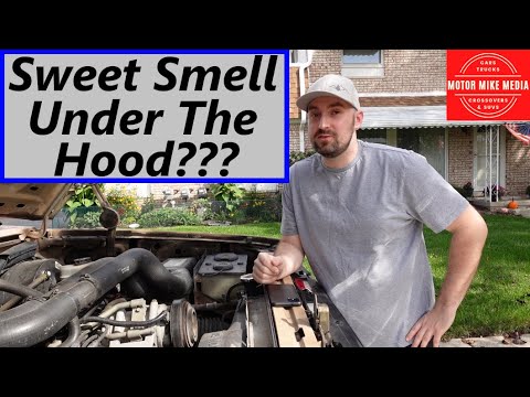 Sweet Smell From Under The Hood What Could It Be?????????