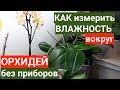 ВЛАЖНОСТЬ для ОРХИДЕЙ как ЛЕГКО измерить БЕЗ приборов