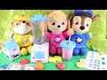 Paw Patrol Pups Skye and Chase Smoother Maker Pretend Play Set