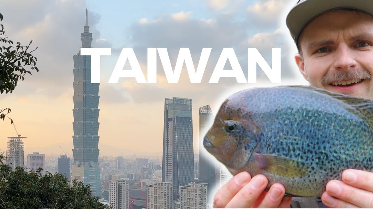 A Crazy Taipei Park Lake Session | Taiwan Fishing Vlog 1