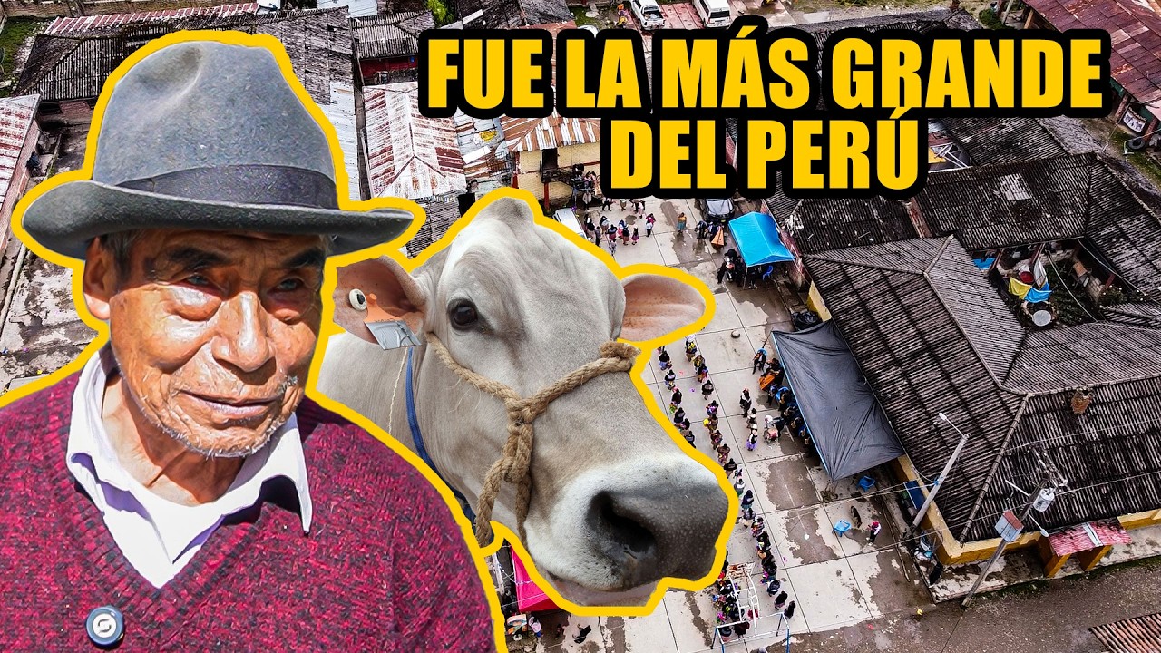 Acá existió un IMPERIO GANADERO 🐄| Runatullo