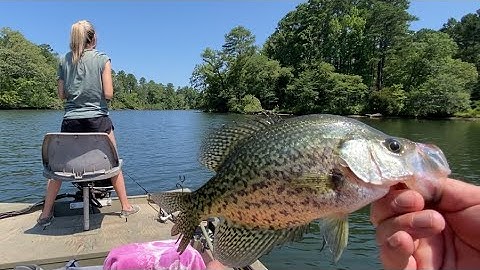 Crappie fishing WITHOUT Livescope  - Effective technique for open water (Piscifun Viper X 2000)