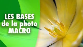 [ TUTO PHOTO ] Les bases de la macro photographie