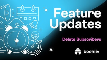 Delete subscribers - beehiiv Feature Updates (Tutorial)