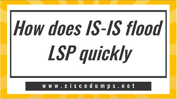 【ThinkMo】How does IS-IS flood LSP quickly #Cisco #CCNA #CCNP #CCIE #network