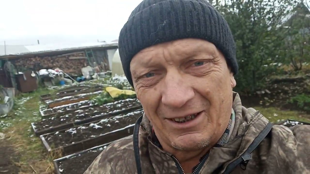 1 часть . Женьшень на Урале . - YouTube