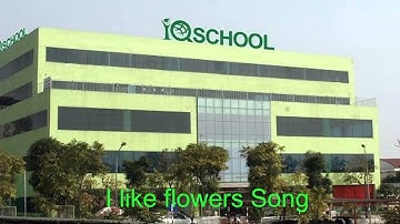 [MẦM NON QUỐC TẾ IQ] I like flowers song