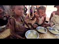 U.N. seeks $75 million for Madagascar food crisis