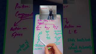 ELDOA T8-T9 Practical