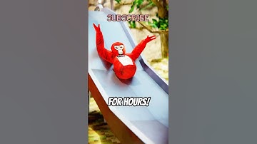 HE WHAT?! #gorillatag