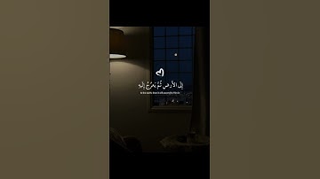 إذا التلاوة لمست قلبك|اكتب شيء تؤجر عليه 😴🤍