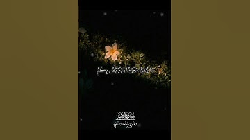 سورة التوبة | Surah At-Tawbah | الأعراب أشد كفرا ونفاقا | تلاوة أسامة القاضي🤎🍂