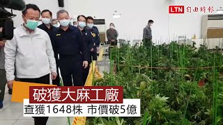 市價逾5億！ 嘉義檢警抄1600多株大麻、4公斤大麻花 2嫌送辦