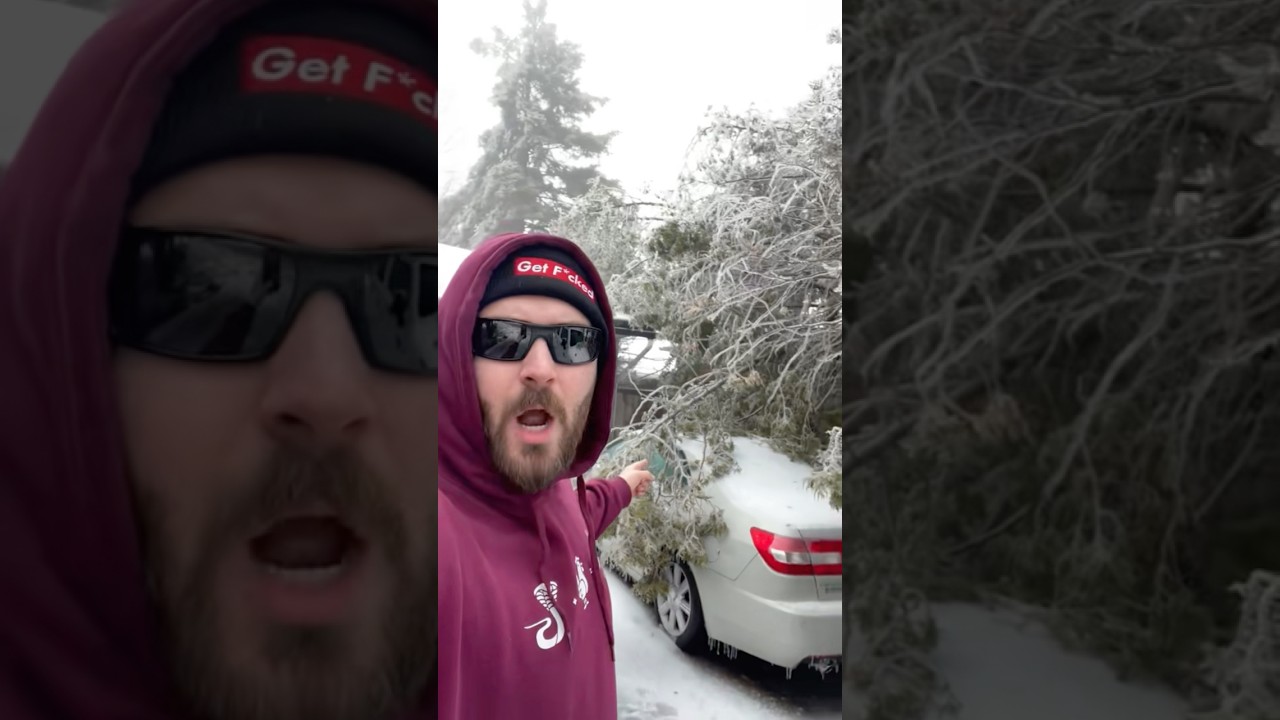 Standard Canadian April bud·