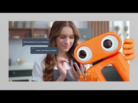 Vista previa del video