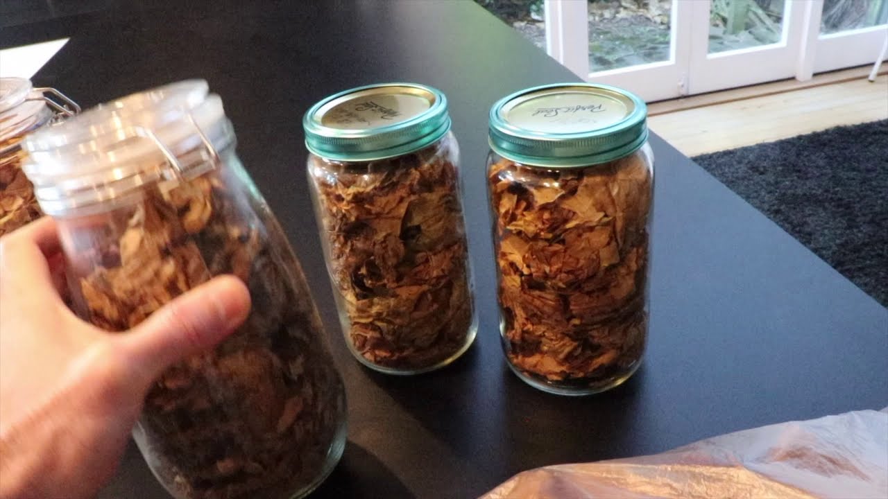 Хранение выращенного в домашних условиях табака для предотвращения образования плесени.