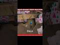 Squid Granny Teddy Reaction #granny #shorts #gaming #shortfeed #shorts