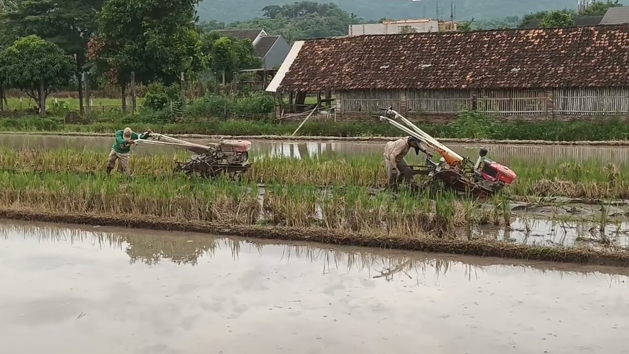 Tanahnya Sulit Terbalik